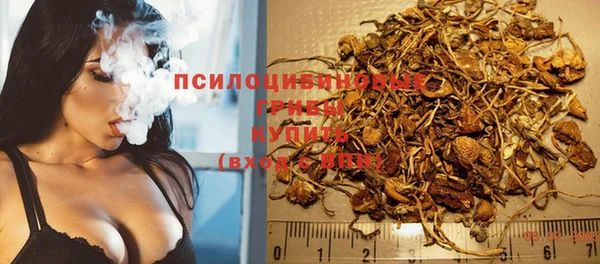 а пвп мука Алзамай