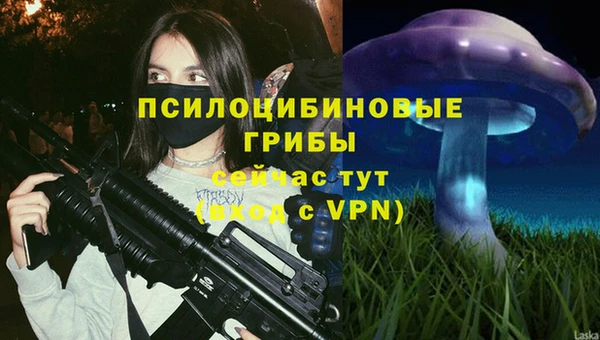 а пвп мука Алзамай