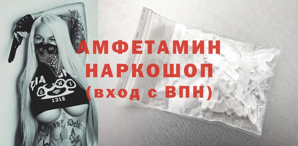крисы Тында
