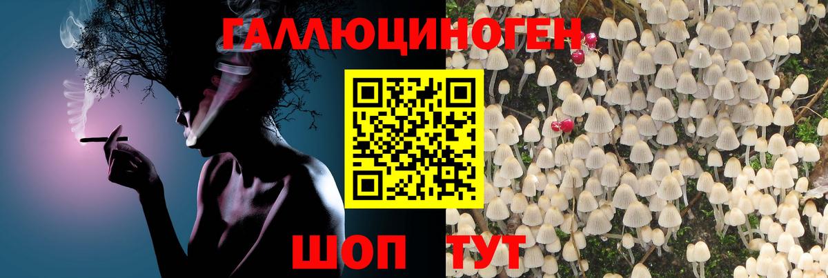 наркотики  Вход с VPN  Октябрьский  Псилоцибиновые грибы мицелий 
